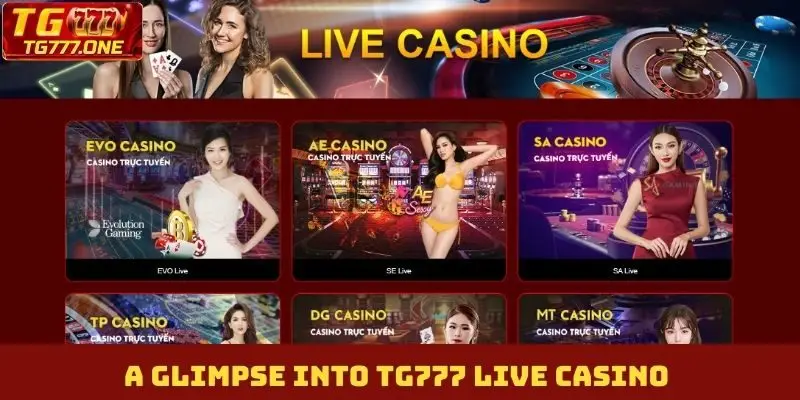 A glimpse into TG777 Live Casino
