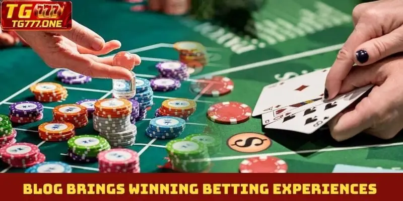Blog brings winning betting experiences