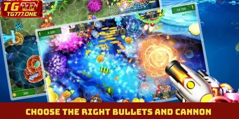 Choose the right bullets and cannon